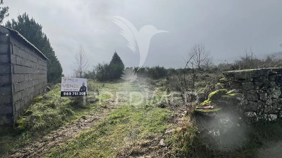 Terreno para Venda em Penedono e Granja