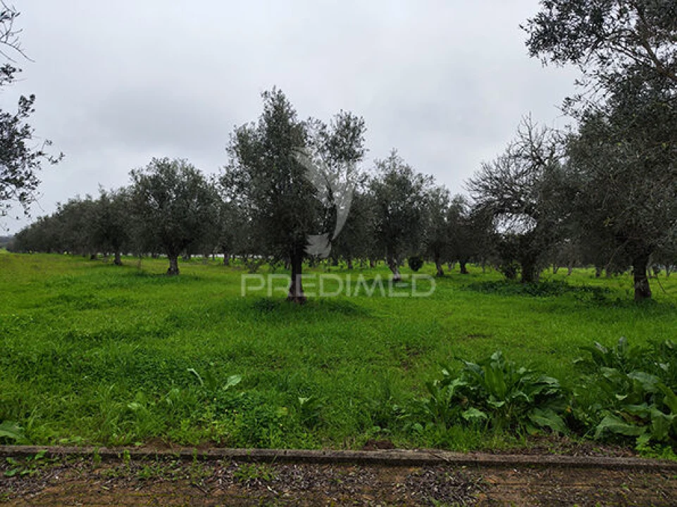 Quinta T2 para Venda em Alcórrego e Maranhão Foto 25