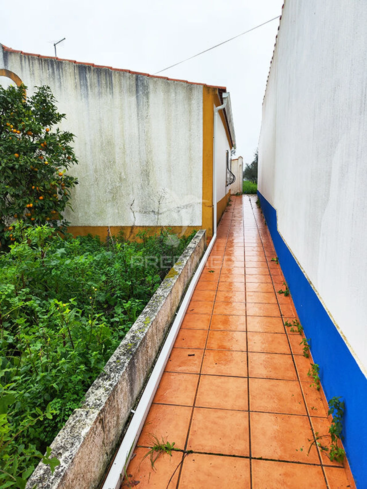 Quinta T2 para Venda em Alcórrego e Maranhão Foto 6