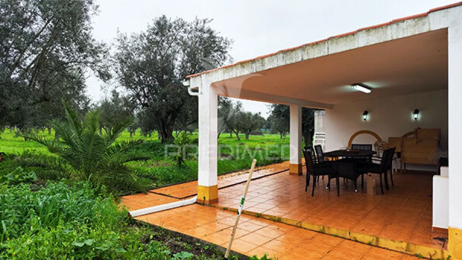 Quinta T2 para Venda em Alcórrego e Maranhão Foto 5