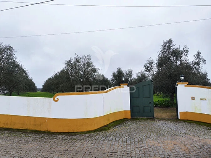 Quinta T2 para Venda em Alcórrego e Maranhão Foto 4