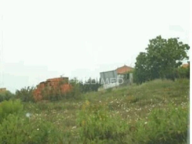 Terreno para Venda em Recardães e Espinhel Foto 2