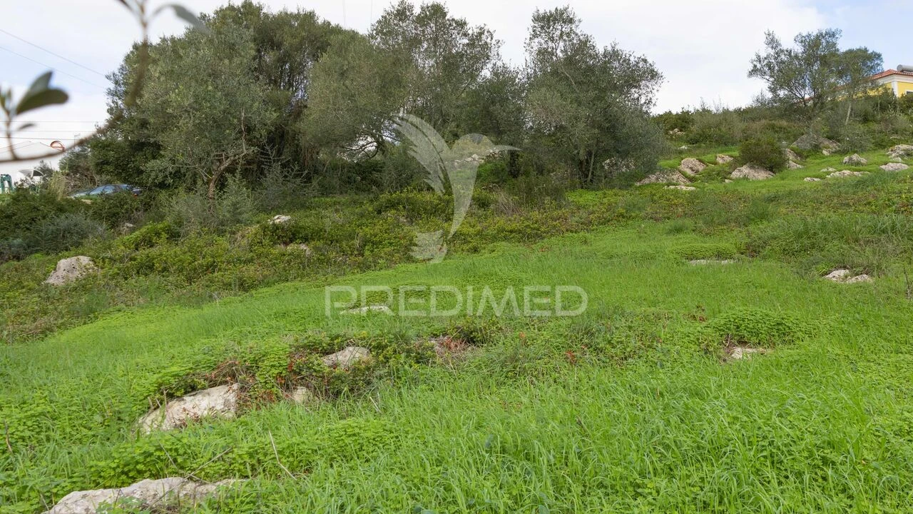 Terreno para Venda em Santa Maria e São Miguel, São Martinho, São Pedro Penaferrim Foto 8