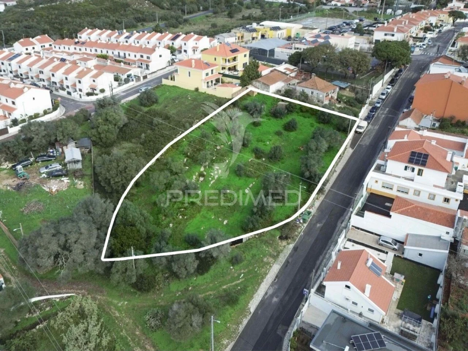 Terreno para Venda em Santa Maria e São Miguel, São Martinho, São Pedro Penaferrim Foto 2