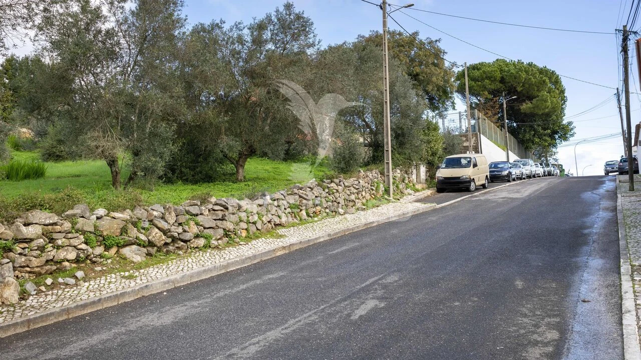 Terreno para Venda em Santa Maria e São Miguel, São Martinho, São Pedro Penaferrim Foto 10