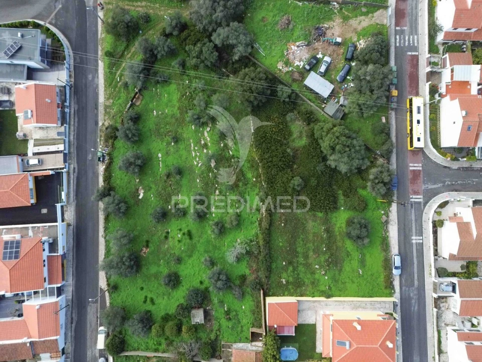 Terreno para Venda em Santa Maria e São Miguel, São Martinho, São Pedro Penaferrim Foto 5