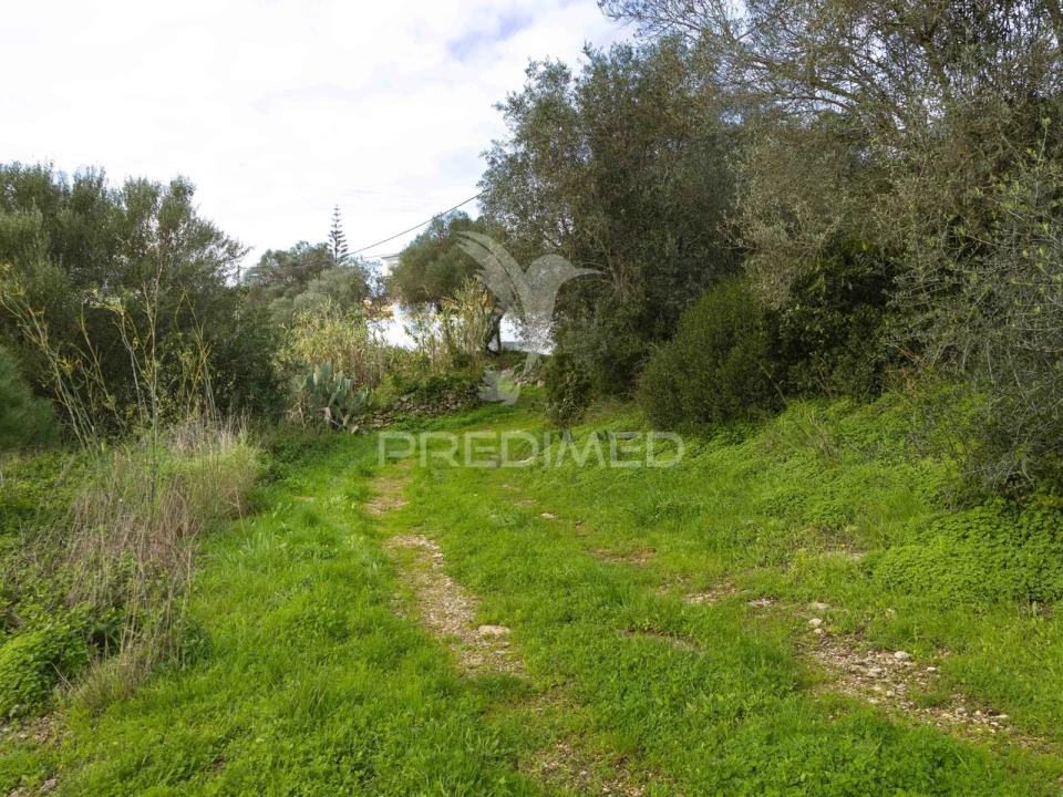 Terreno para Venda em Santa Maria e São Miguel, São Martinho, São Pedro Penaferrim Foto 9