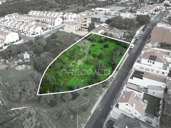 Terreno para Venda em Santa Maria e São Miguel, São Martinho, São Pedro Penaferrim Foto 3