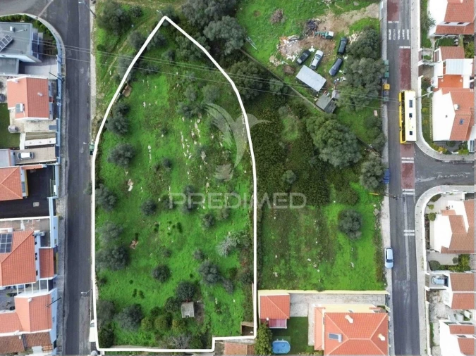 Terreno para Venda em Santa Maria e São Miguel, São Martinho, São Pedro Penaferrim Foto 1