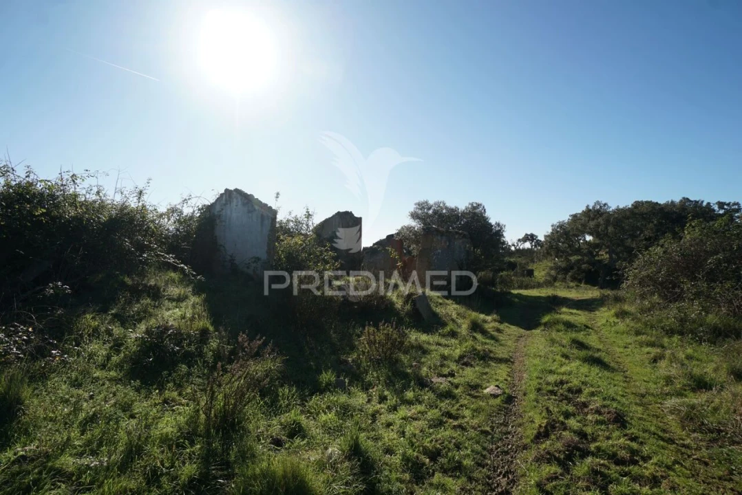 Quinta T0 para Venda em Santiago do Cacém, Santa Cruz e São Bartolomeu da Serra Foto 18