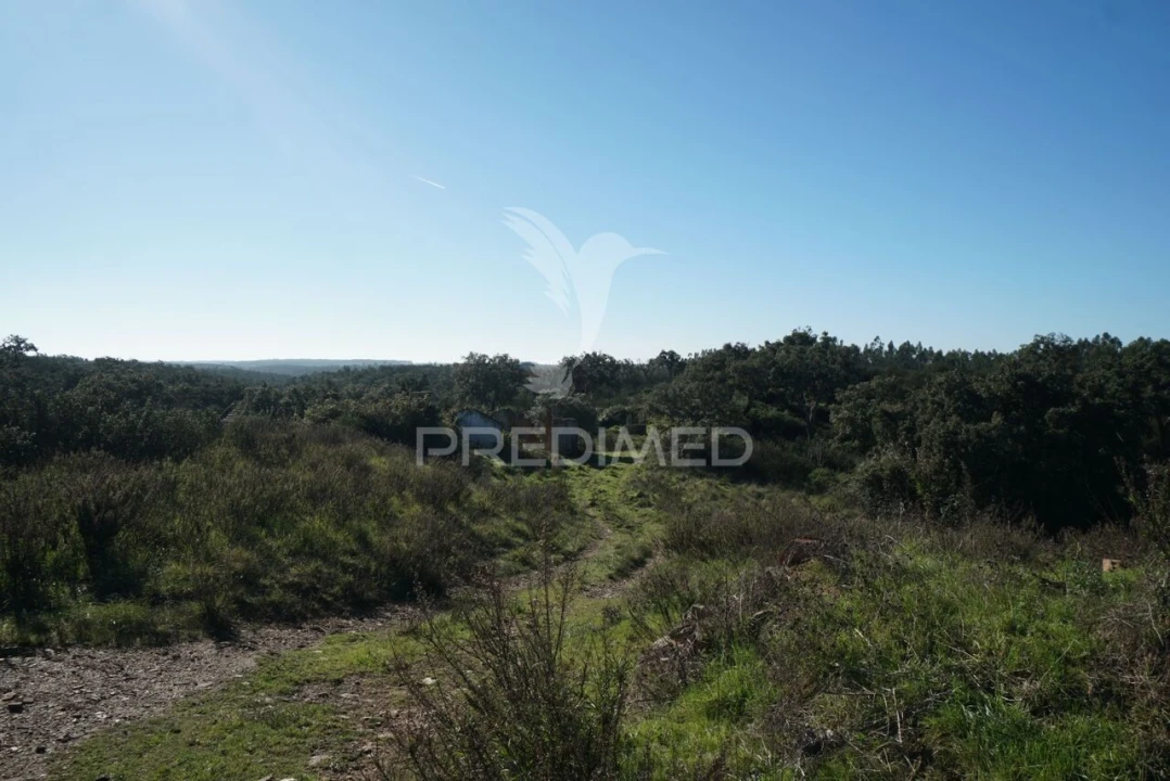 Quinta T0 para Venda em Santiago do Cacém, Santa Cruz e São Bartolomeu da Serra Foto 15