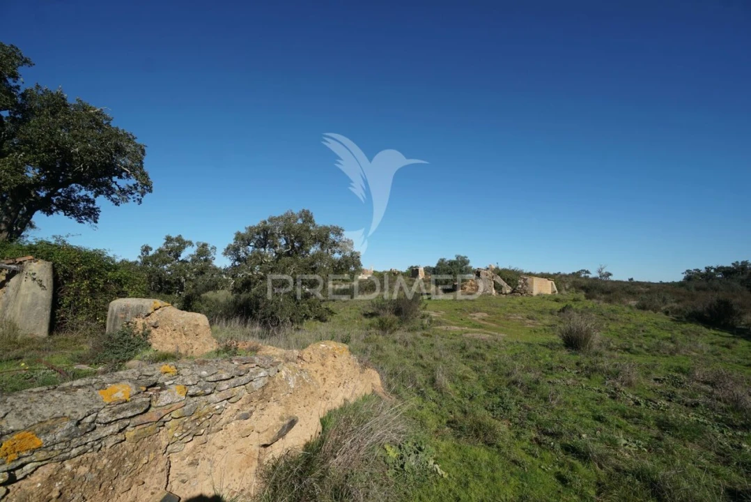 Quinta T0 para Venda em Santiago do Cacém, Santa Cruz e São Bartolomeu da Serra Foto 21