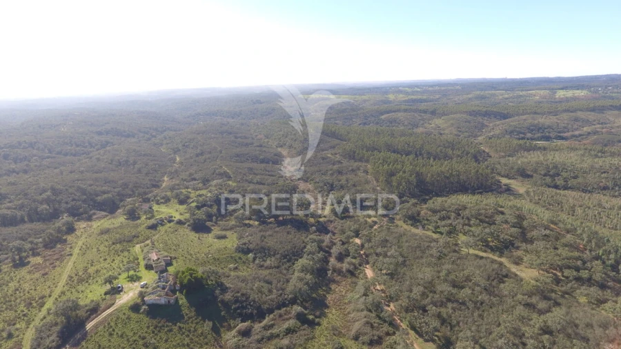 Quinta T0 para Venda em Santiago do Cacém, Santa Cruz e São Bartolomeu da Serra Foto 9
