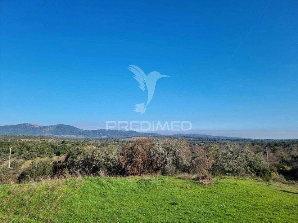 Terreno para Venda em Monfortinho e Salvaterra do Extremo Foto 6