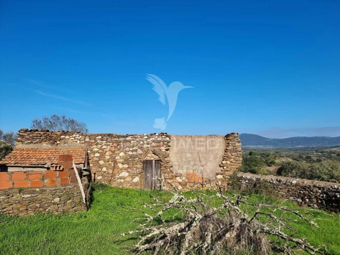 Terreno para Venda em Monfortinho e Salvaterra do Extremo Foto 11