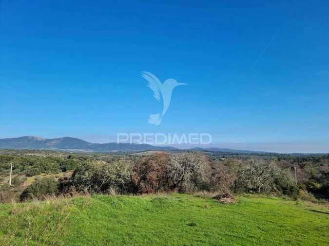 Terreno para Venda em Monfortinho e Salvaterra do Extremo Foto 1