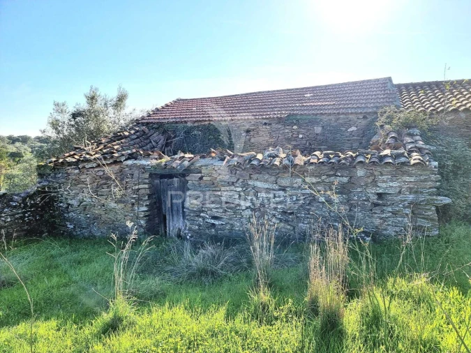 Terreno para Venda em Monfortinho e Salvaterra do Extremo Foto 9