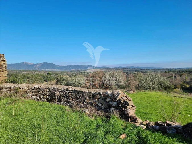 Terreno para Venda em Monfortinho e Salvaterra do Extremo Foto 4
