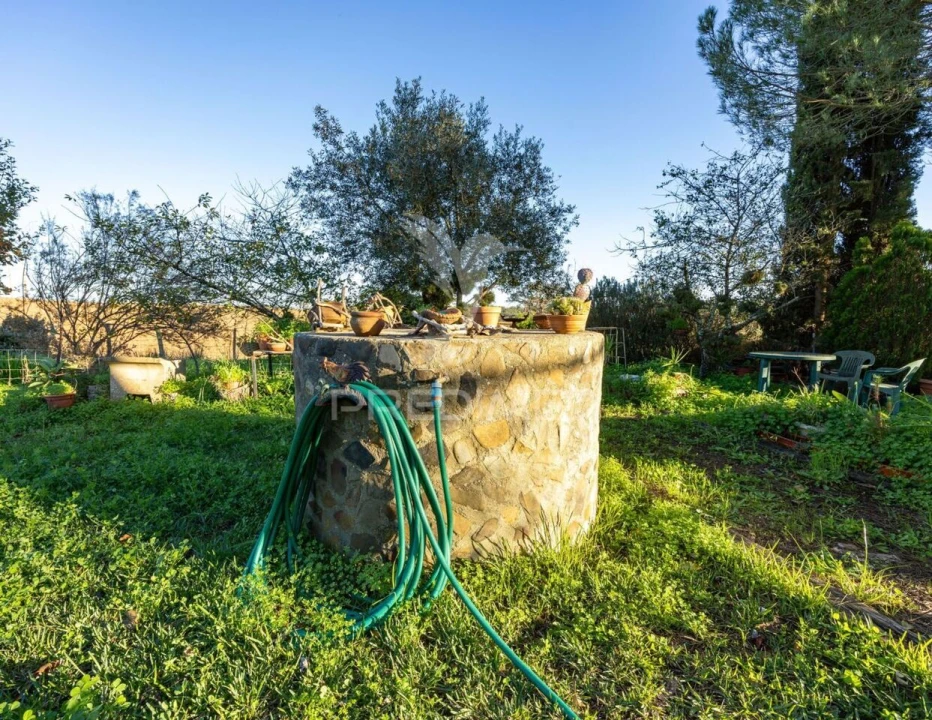 Quinta T3 para Venda em São Domingos e Vale de Água Foto 6