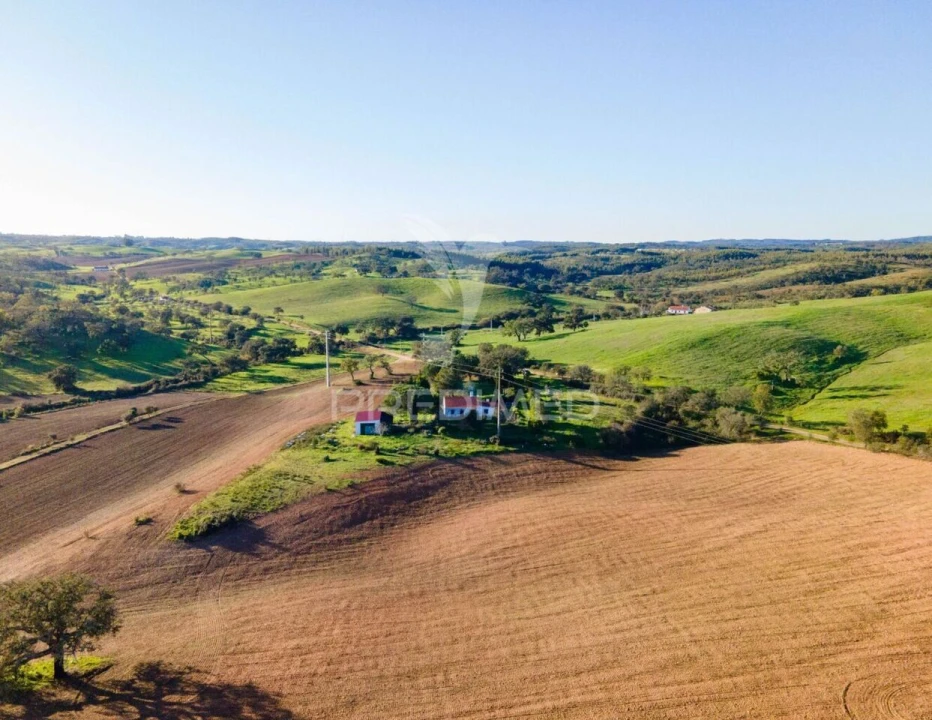 Quinta T3 para Venda em São Domingos e Vale de Água Foto 3