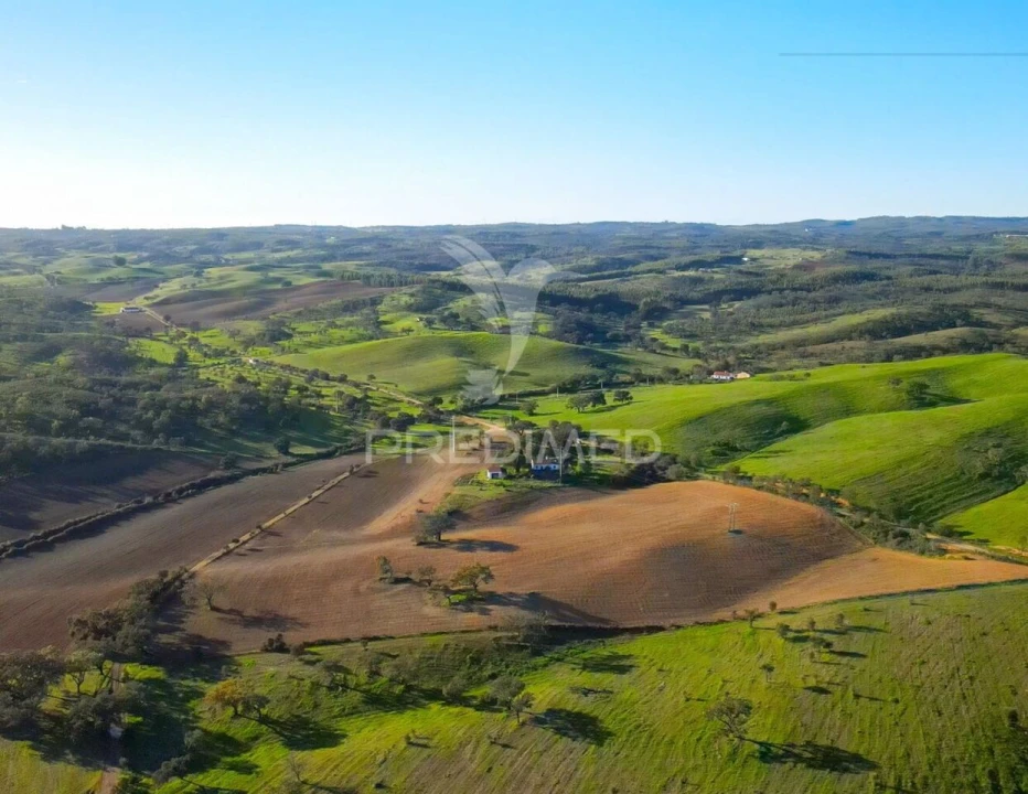 Quinta T3 para Venda em São Domingos e Vale de Água Foto 20