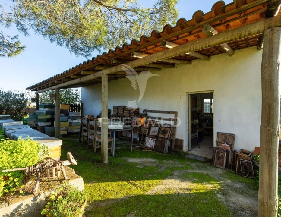 Quinta T3 para Venda em São Domingos e Vale de Água Foto 9