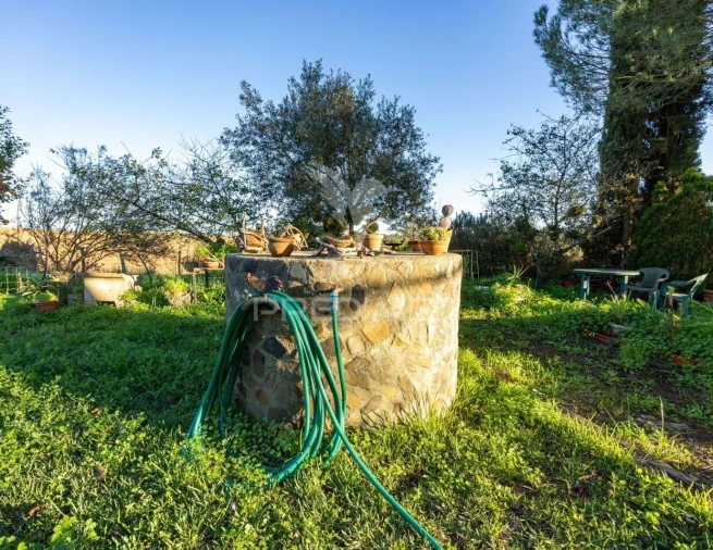 Quinta T3 para Venda em São Domingos e Vale de Água Foto 6