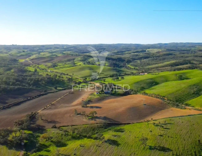 Quinta T3 para Venda em São Domingos e Vale de Água Foto 20