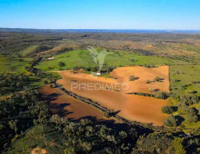 Quinta T3 para Venda em São Domingos e Vale de Água Foto 19