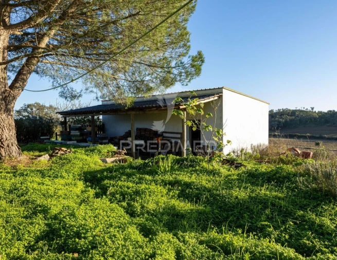 Quinta T3 para Venda em São Domingos e Vale de Água Foto 8