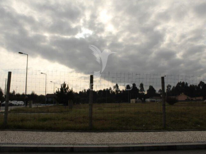 Terreno para Venda em Ovar, São João, Arada e São Vicente de Pereira Jusã Foto 6
