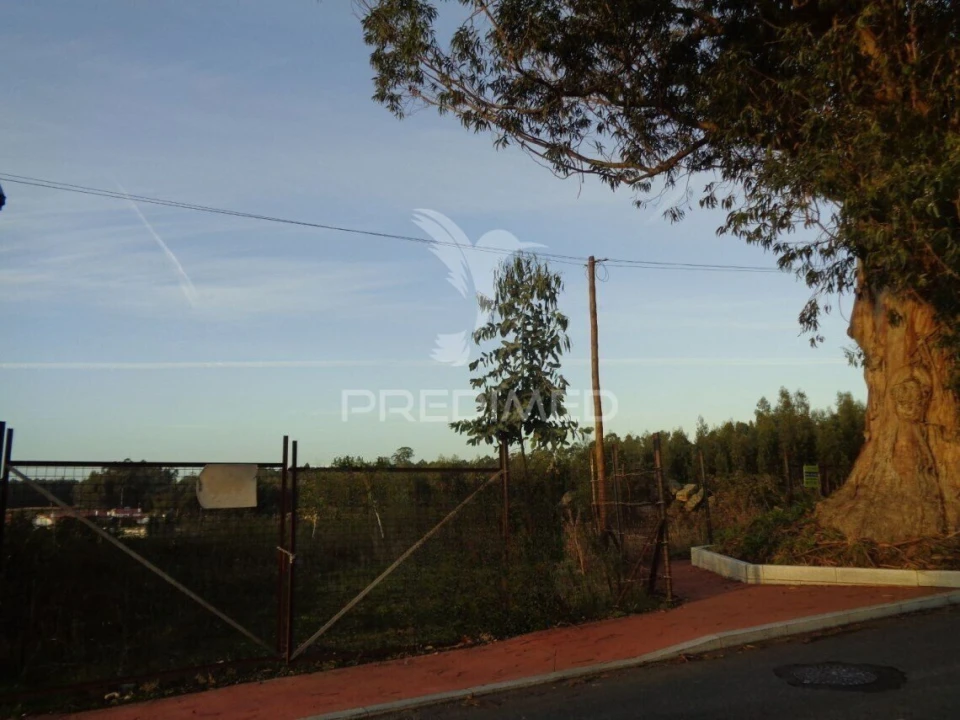 Terreno para Venda em Ovar, São João, Arada e São Vicente de Pereira Jusã Foto 1