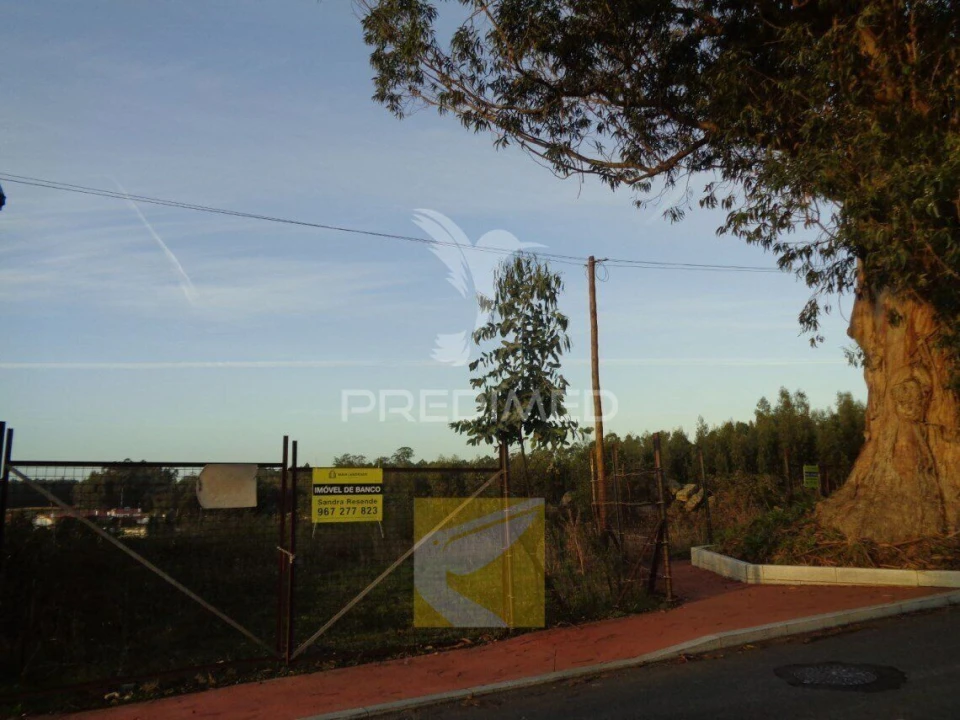 Terreno para Venda em Ovar, São João, Arada e São Vicente de Pereira Jusã Foto 2