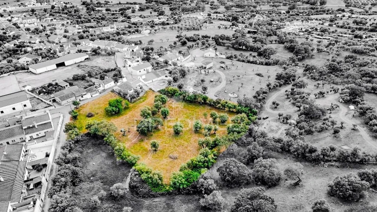 Terreno para Venda em Gafanhoeira (São Pedro) e Sabugueiro Foto 3