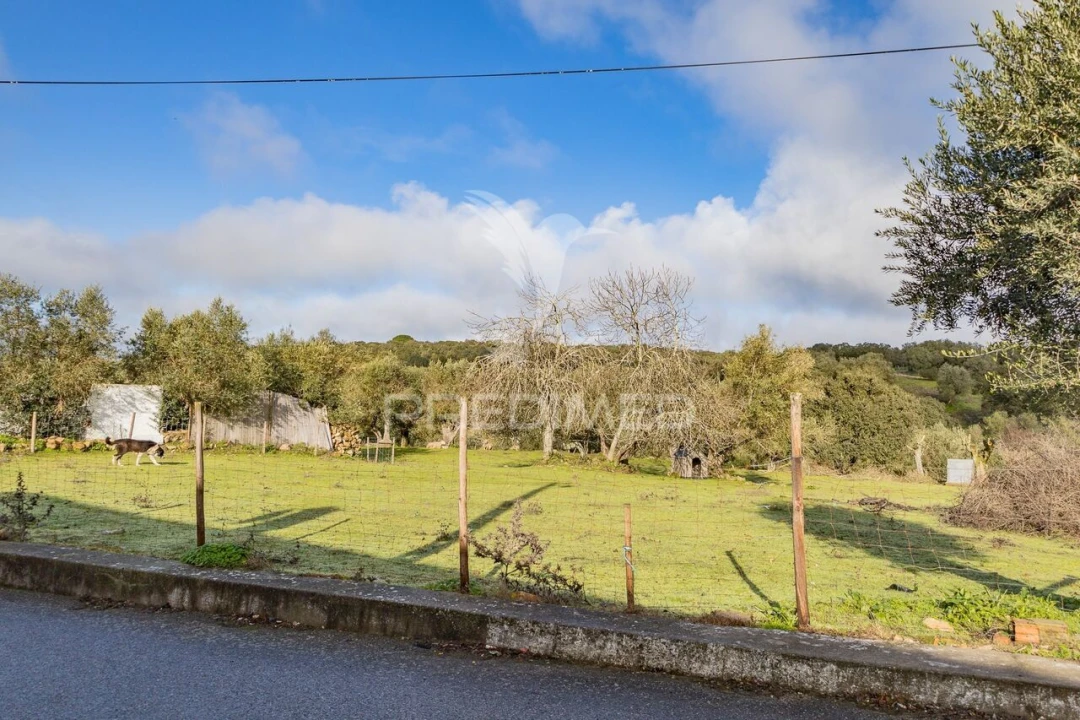 Terreno para Venda em Gafanhoeira (São Pedro) e Sabugueiro Foto 27