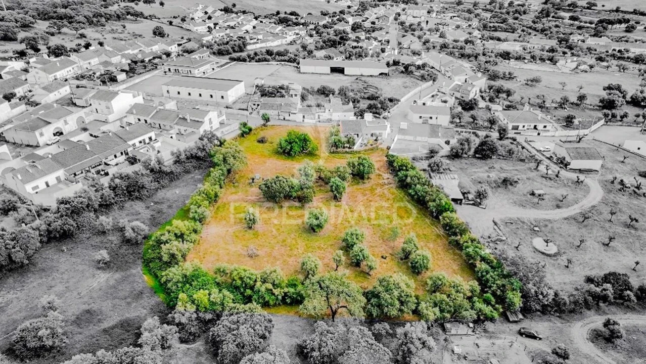 Terreno para Venda em Gafanhoeira (São Pedro) e Sabugueiro Foto 4