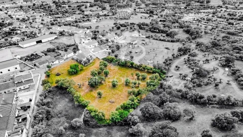 Terreno para Venda em Gafanhoeira (São Pedro) e Sabugueiro