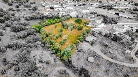 Terreno para Venda em Gafanhoeira (São Pedro) e Sabugueiro