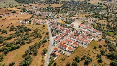 Terreno para Venda em Gafanhoeira (São Pedro) e Sabugueiro