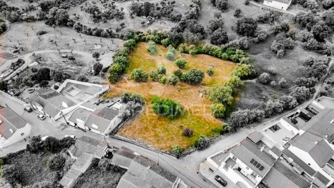 Terreno para Venda em Gafanhoeira (São Pedro) e Sabugueiro