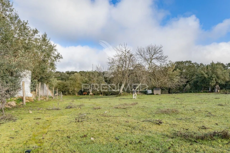 Terreno para Venda em Gafanhoeira (São Pedro) e Sabugueiro Foto 25