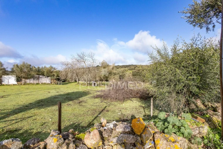 Terreno para Venda em Gafanhoeira (São Pedro) e Sabugueiro Foto 3