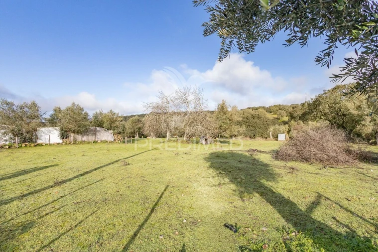 Terreno para Venda em Gafanhoeira (São Pedro) e Sabugueiro Foto 1