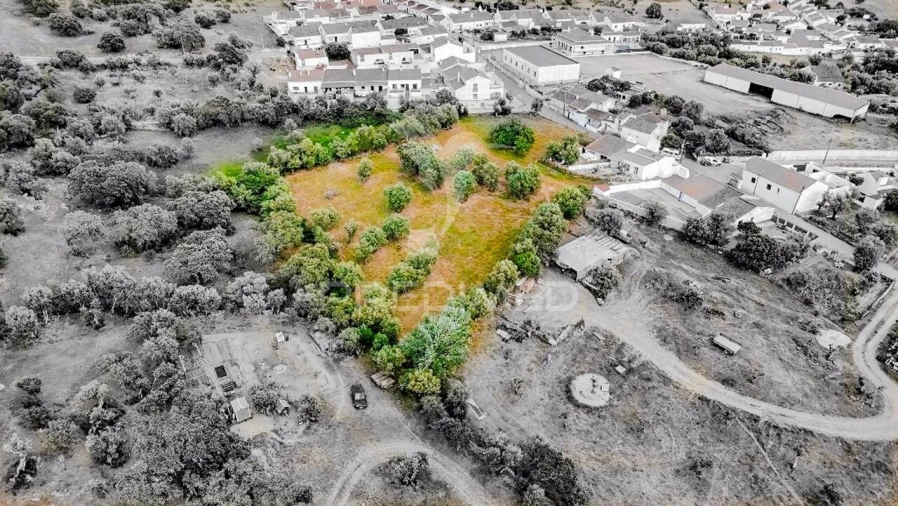 Terreno para Venda em Gafanhoeira (São Pedro) e Sabugueiro Foto 5
