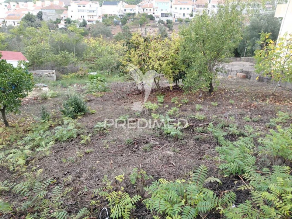 Terreno para Venda em Santiago do Cacém, Santa Cruz e São Bartolomeu da Serra Foto 1