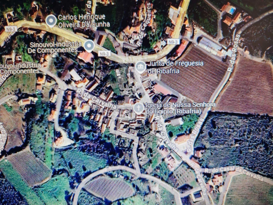 Terreno para Venda em Ribafria e Pereiro de Palhacana Foto 1