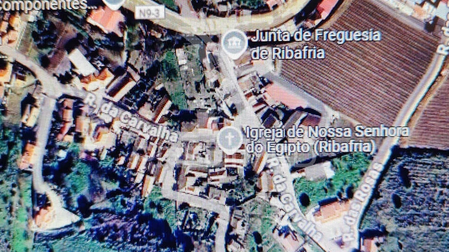 Terreno para Venda em Ribafria e Pereiro de Palhacana