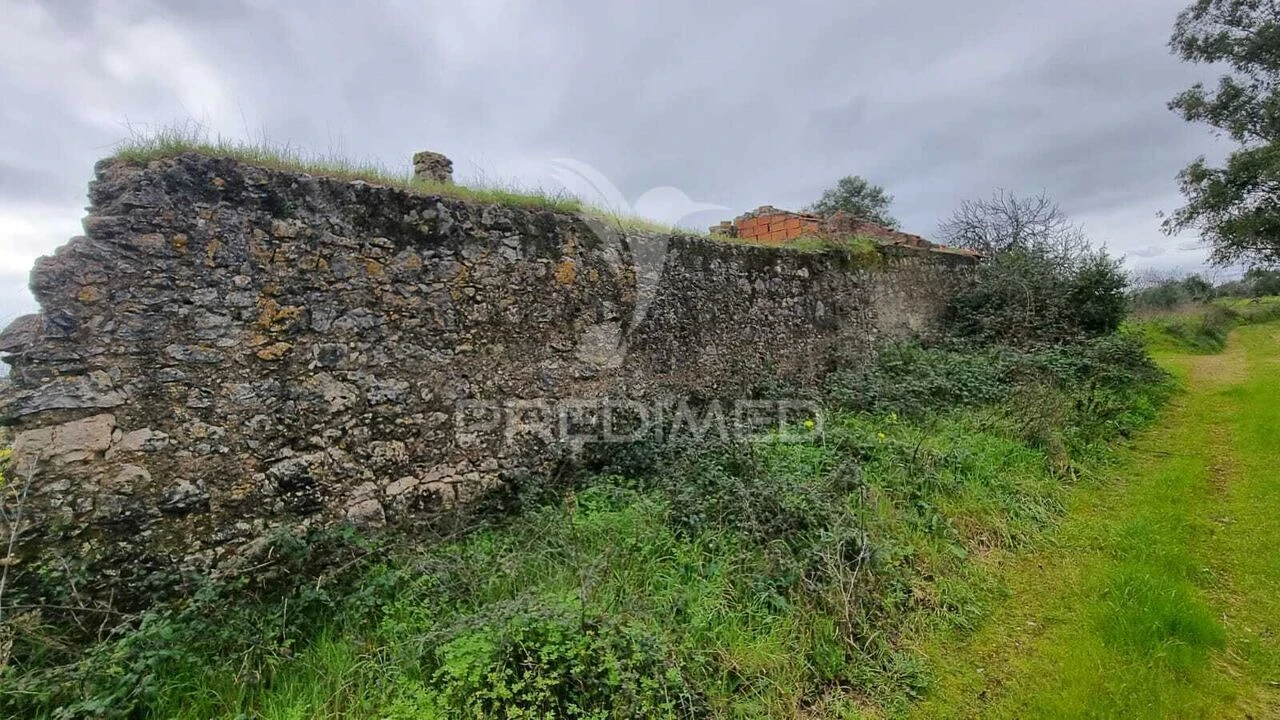 Terreno para Venda em Brogueira, Parceiros de Igreja e Alcorochel Foto 26