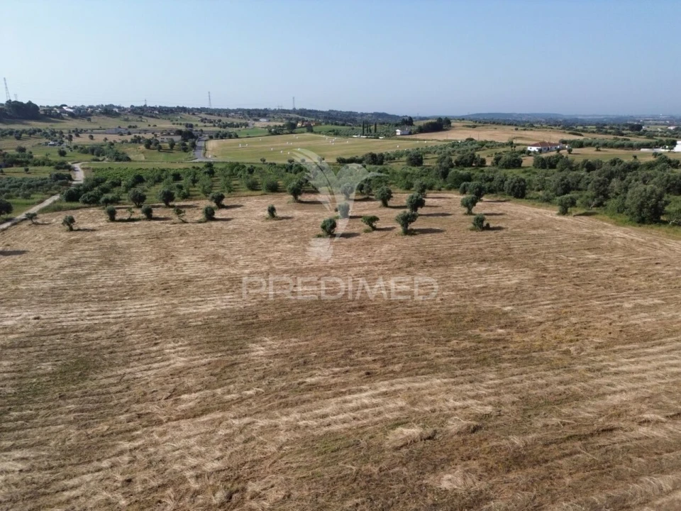 Terreno para Venda em Brogueira, Parceiros de Igreja e Alcorochel Foto 9