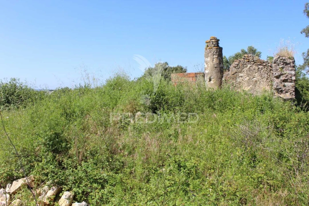 Terreno para Venda em Brogueira, Parceiros de Igreja e Alcorochel Foto 21